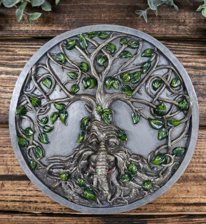 ebros gift Celtic Tree Man Greenman Tree Of Life Round Wall Decor Plaque Medallion Figurine