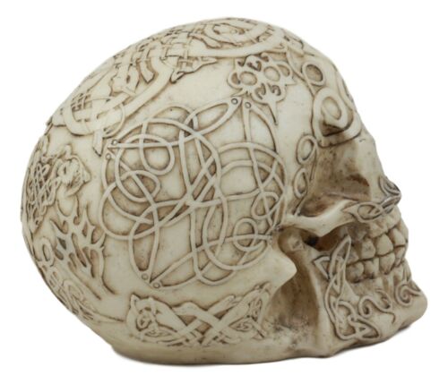 Ebros Gift Celtic Tribal Tattoo Homo Sapien Skull Statue Ossuary Skeleton Cranium Figurine
