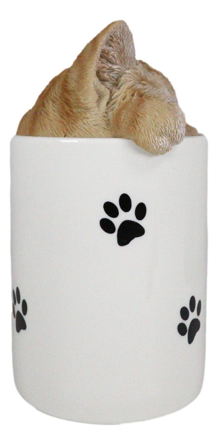 Ebros Gift Ceramic Orange Tabby Cat Hiding And Peeking Dry Storage Jar With Paw Prints