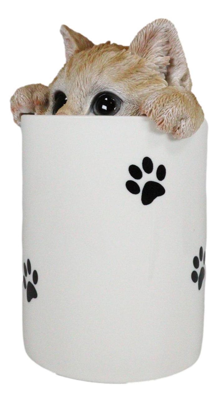 Ebros Gift Ceramic Orange Tabby Cat Hiding And Peeking Dry Storage Jar With Paw Prints