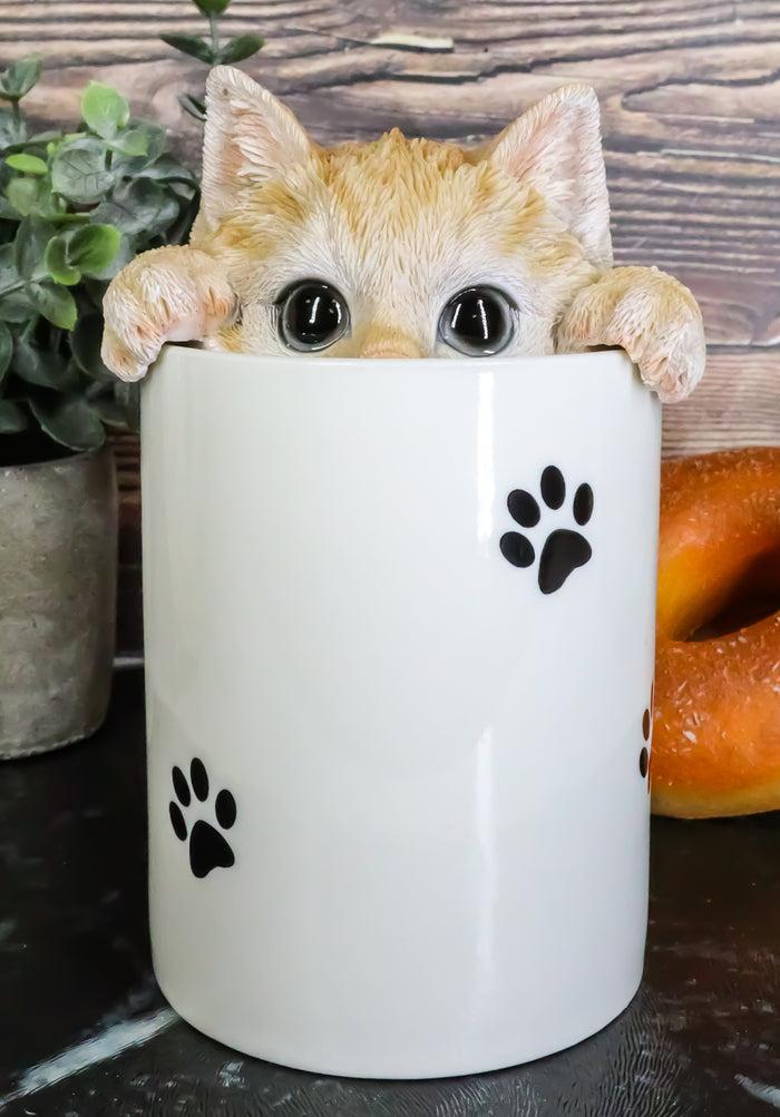 ebros gift Ceramic Orange Tabby Cat Hiding and Peeking Dry Storage Jar with Paw Prints