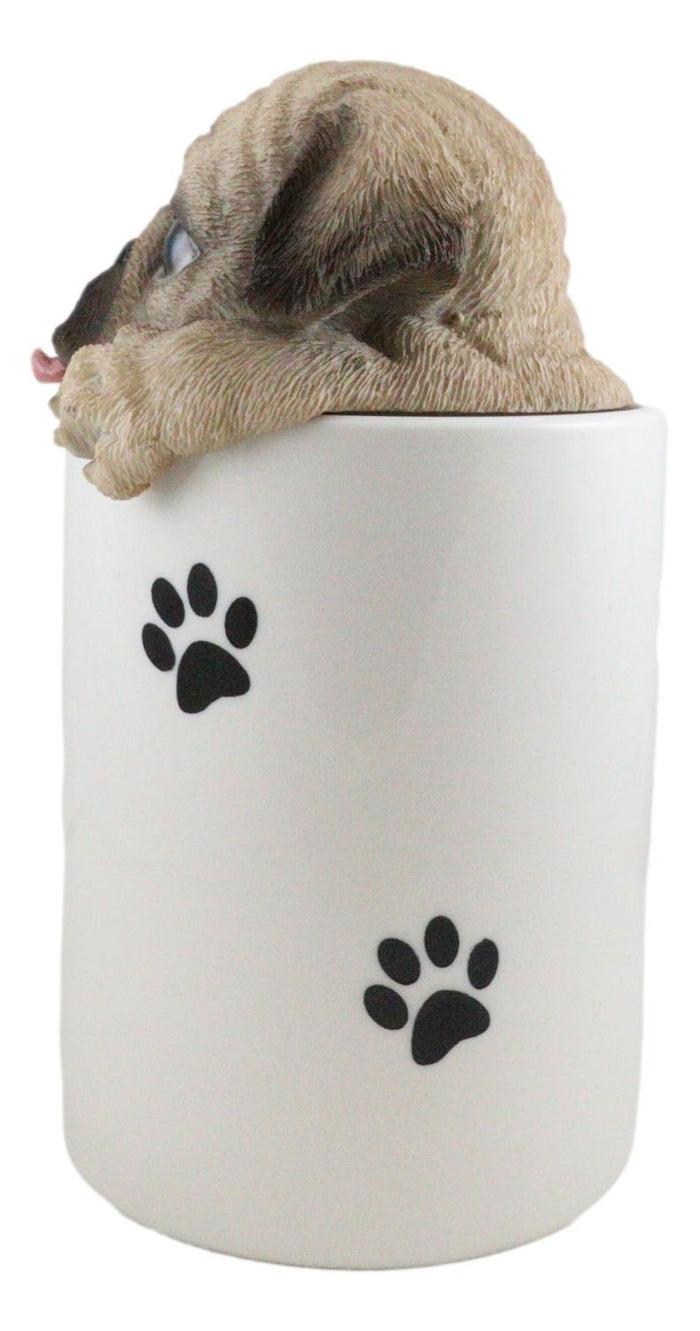 Ebros Gift Ceramic Pug Puppy Dog Hiding And Peeking Dry Storage Jar With Paw Prints Decor