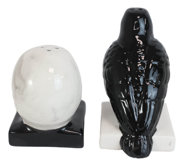 Ebros Gift Ceramic Quote The Raven Nevermore Skull Salt And Pepper Shakers Figurine Set