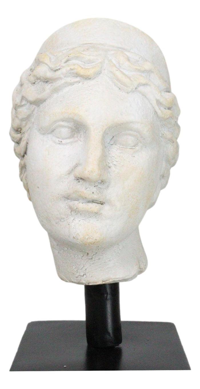 Ebros Gift Classical Greek Roman Goddess Aphrodite Head Bust Replica On Black Base Statue