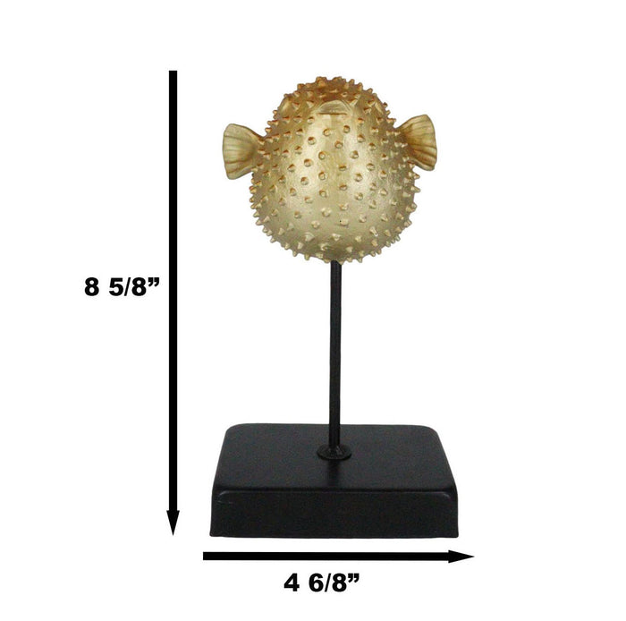 Ebros Gift Coastal Marine Faux Taxidermy Golden Pufferfish Fish Sculpture On Pole Mount