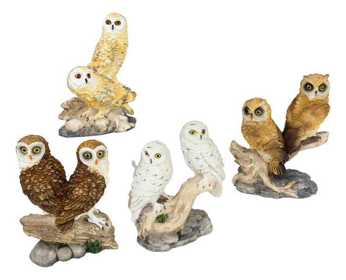 Ebros Gift Colorful Barn Great Horned Snowy & Screech Owl Perching On Branch Figurine Set