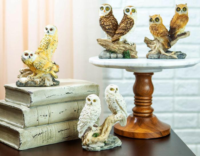ebros gift Colorful Barn Great Horned Snowy & Screech Owl Perching On Branch Figurine Set