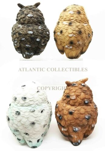 Ebros Gift Colorful Great Horned Forest Snowy & Northern Pygmy Owl Chicks Figurine Set Of 4
