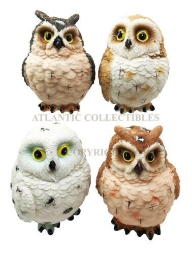 ebros gift Colorful Great Horned Forest Snowy & Northern Pygmy Owl Chicks Figurine Set Of 4