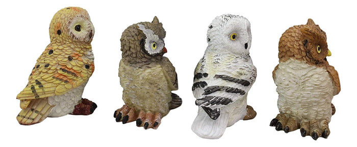 Ebros Gift Colorful Nocturnal Owls Of The World Miniature Figurine Set Of 4 Owl Theme Decor