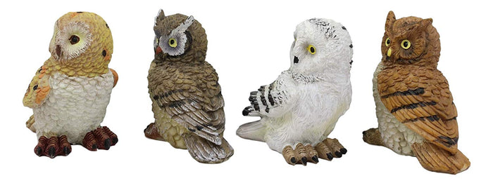 Ebros Gift Colorful Nocturnal Owls Of The World Miniature Figurine Set Of 4 Owl Theme Decor