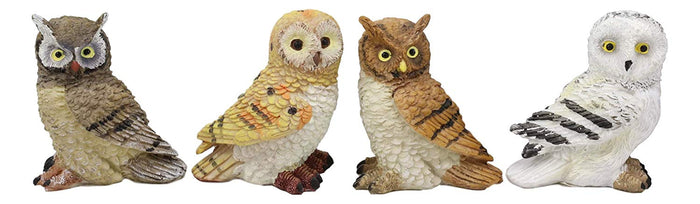 Ebros Gift Colorful Nocturnal Owls Of The World Miniature Figurine Set Of 4 Owl Theme Decor