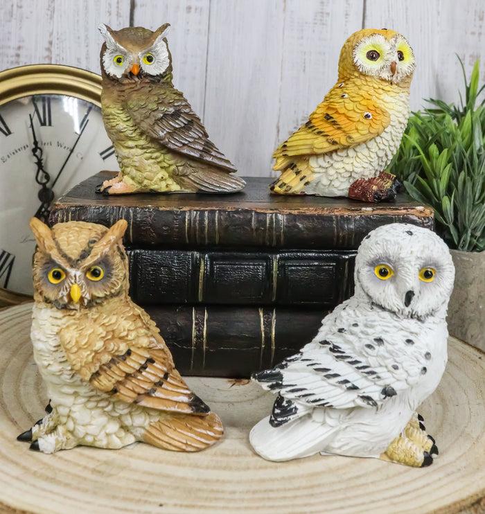 ebros gift Colorful Nocturnal Owls Of The World Miniature Figurine Set of 4 Owl Theme Decor
