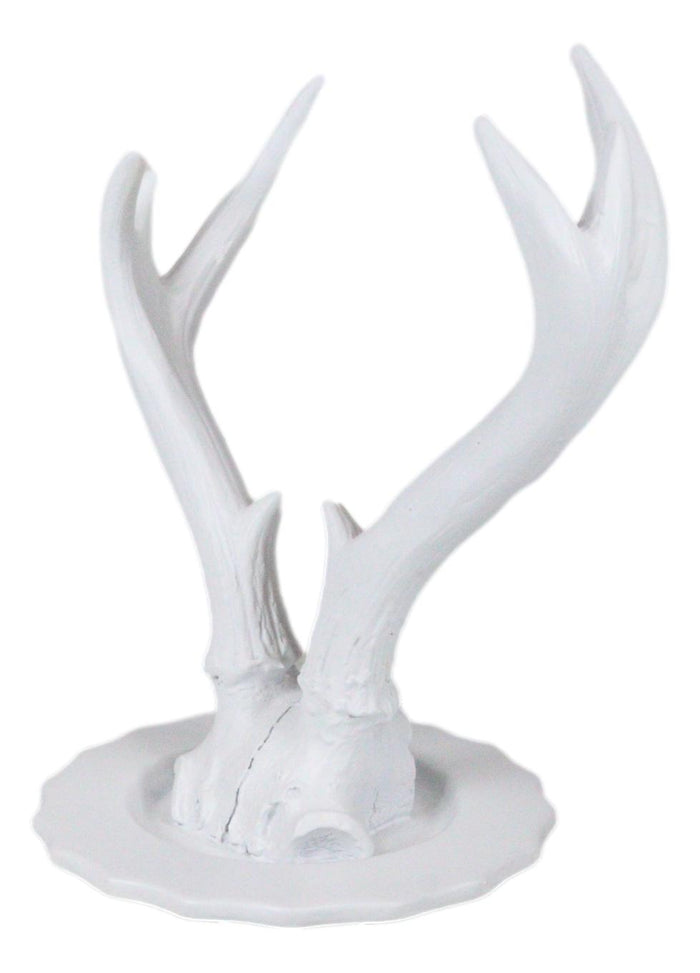 Ebros Gift Contemporary Chic Rustic White Double Buck Deer Stag Antlers Jewelry Tree Holder