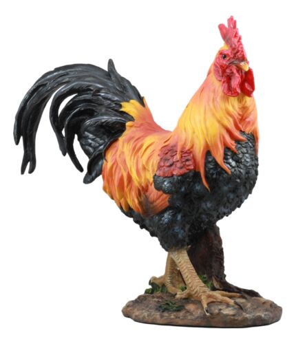 Ebros Gift Country Farm Chicken Morning Crow Alpha Rooster Figurine Large Statue Home Decor