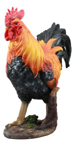 Ebros Gift Country Farm Chicken Morning Crow Alpha Rooster Figurine Large Statue Home Decor