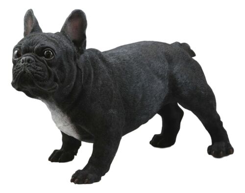 Ebros Gift Cute Large Lifelike Black French Bulldog Statue With Glass Eyes 19.5"Long Decor