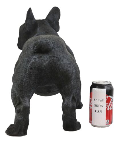 Ebros Gift Cute Large Lifelike Black French Bulldog Statue With Glass Eyes 19.5"Long Decor