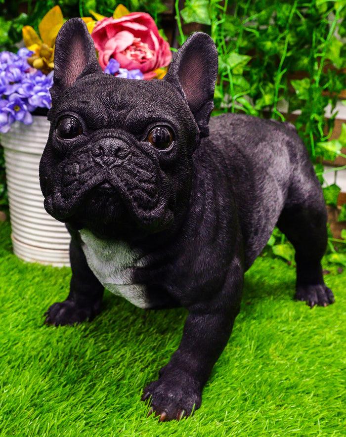 ebros gift Cute Large Lifelike Black French Bulldog Statue With Glass Eyes 19.5"Long Decor
