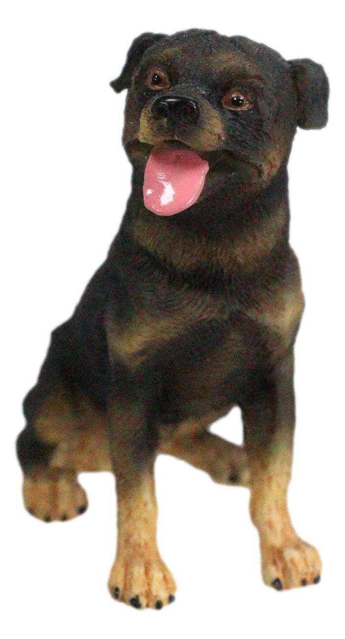 Ebros Gift Cute Sitting Rottie Rottweiler Puppy Dog Dollhouse Miniature Figurine Pet Pal
