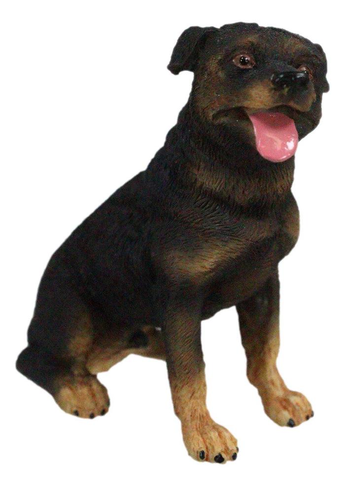 Ebros Gift Cute Sitting Rottie Rottweiler Puppy Dog Dollhouse Miniature Figurine Pet Pal
