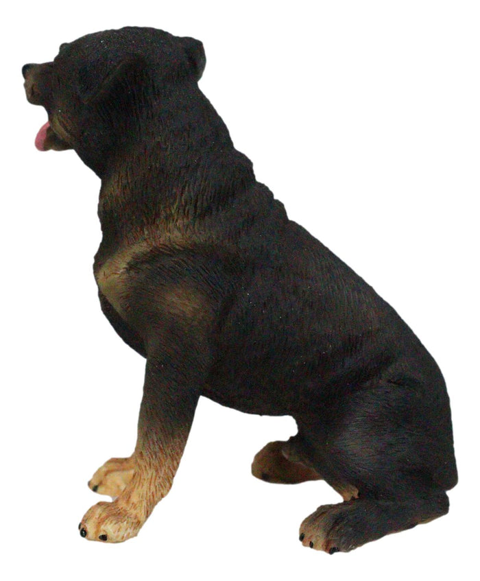 Ebros Gift Cute Sitting Rottie Rottweiler Puppy Dog Dollhouse Miniature Figurine Pet Pal