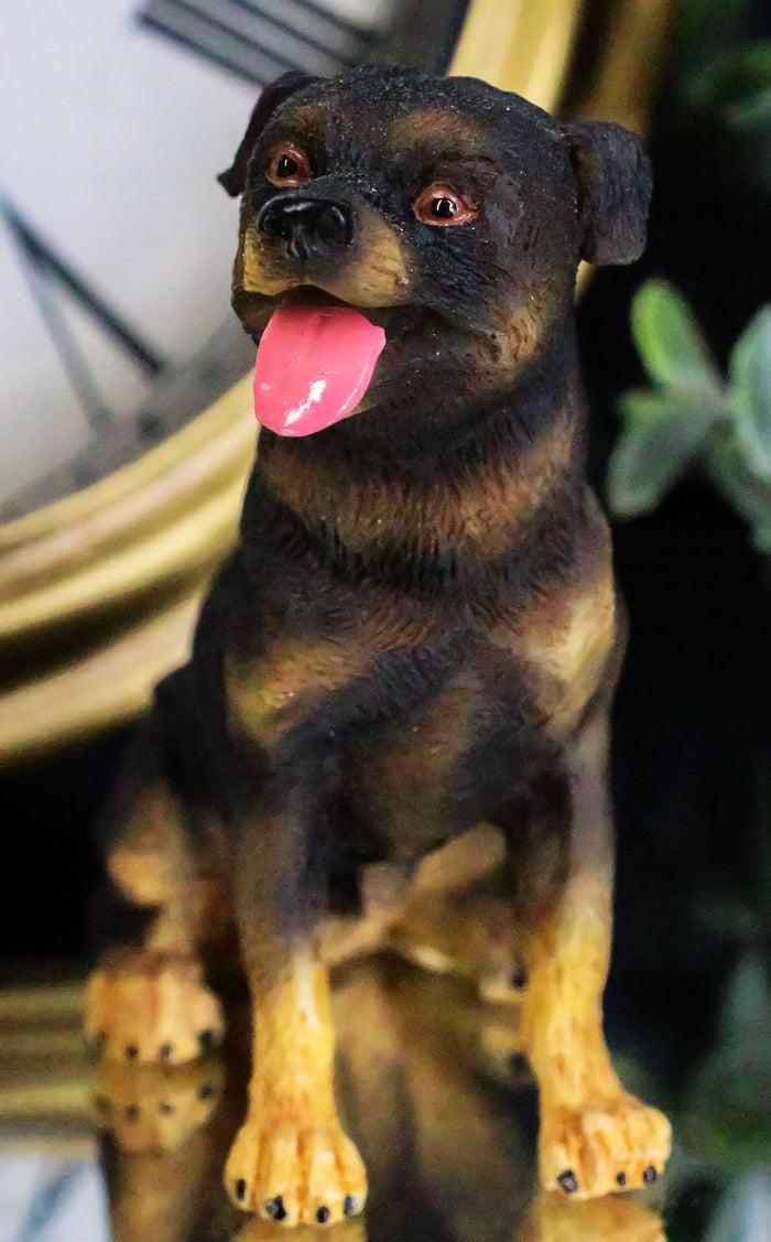 ebros gift Cute Sitting Rottie Rottweiler Puppy Dog Dollhouse Miniature Figurine Pet Pal