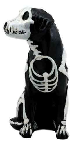Ebros Gift Day Of The Dead Bone Skeleton Dog Statue 7.5"H X-Ray Canine Skeleton Anatomy