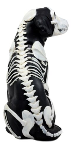 Ebros Gift Day Of The Dead Bone Skeleton Dog Statue 7.5"H X-Ray Canine Skeleton Anatomy