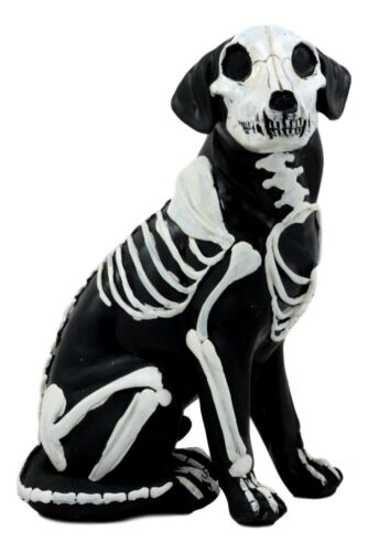 ebros gift Day Of The Dead Bone Skeleton Dog Statue 7.5"H X-Ray Canine Skeleton Anatomy