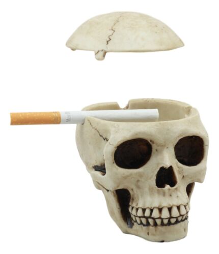 Ebros Gift Day Of The Dead Ossuary Human Skull Ashtray Statue Skeleton Cranium Jewelry Box