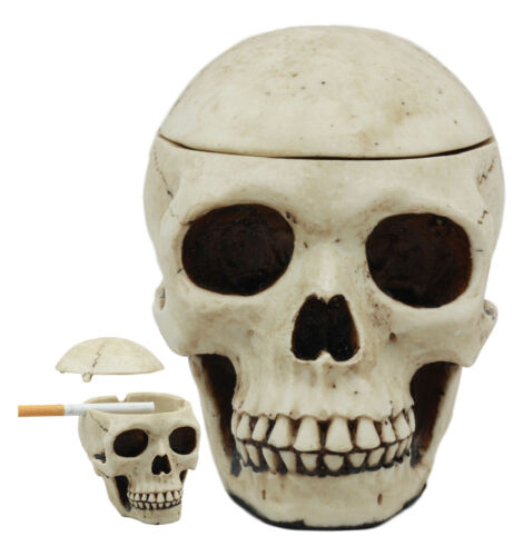 ebros gift Day of The Dead Ossuary Human Skull Ashtray Statue Skeleton Cranium Jewelry Box
