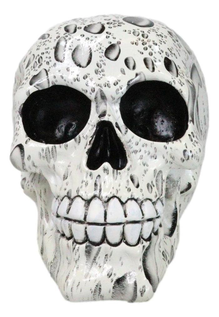 Ebros Gift Day Of The Dead Raindrops Water Droplets Scene Gothic Skull Figurine Skeleton