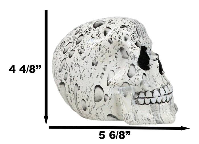 Ebros Gift Day Of The Dead Raindrops Water Droplets Scene Gothic Skull Figurine Skeleton