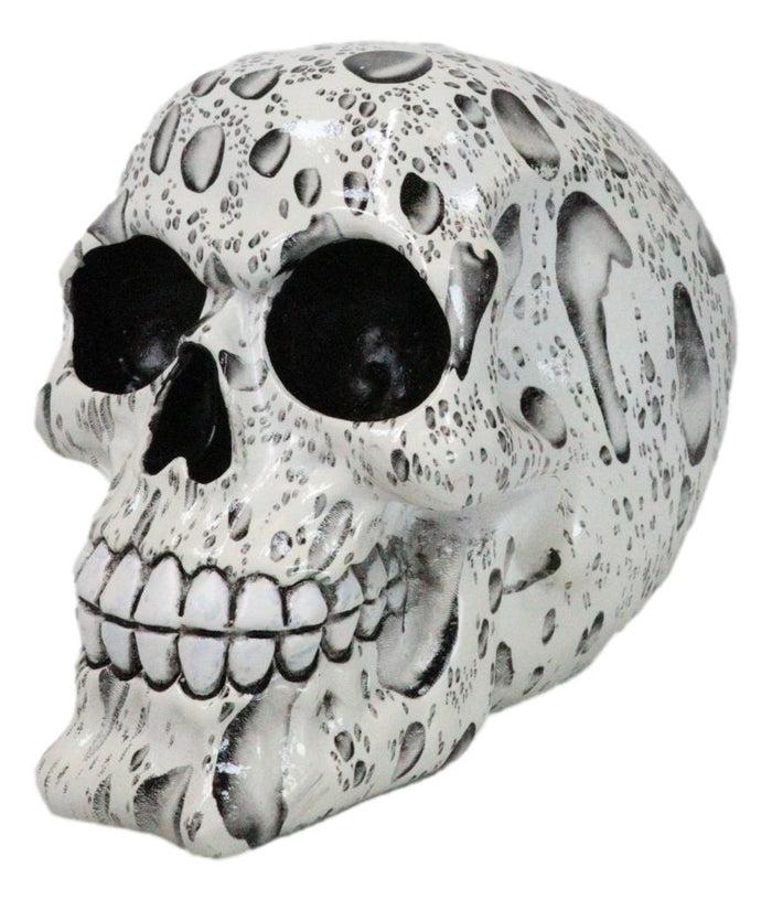 Ebros Gift Day Of The Dead Raindrops Water Droplets Scene Gothic Skull Figurine Skeleton