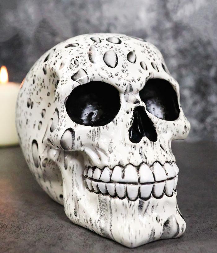 ebros gift Day of The Dead Raindrops Water Droplets Scene Gothic Skull Figurine Skeleton