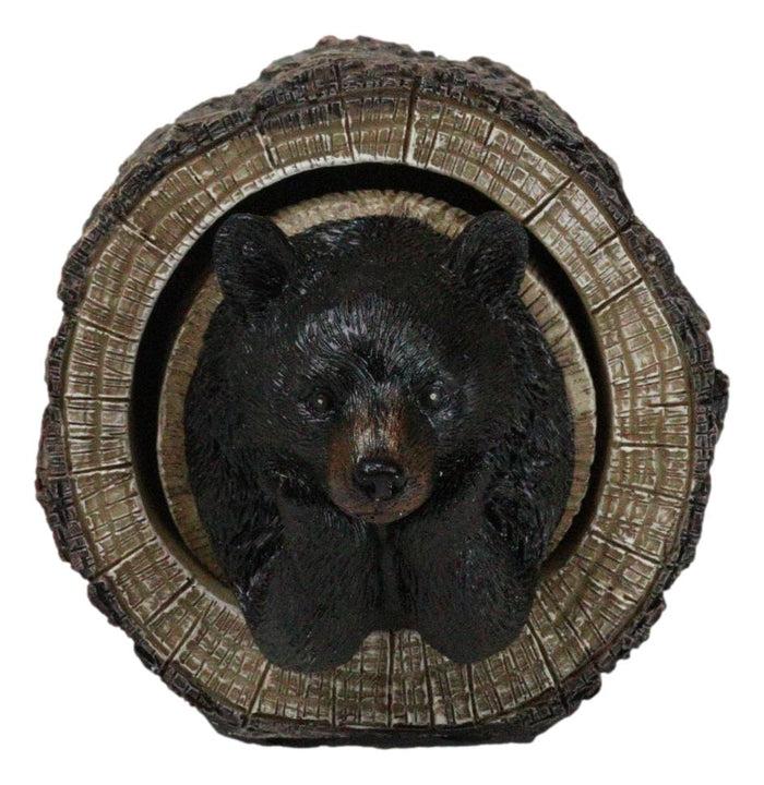 Ebros Gift Daydreaming Black Bear In Tree Log Home Decorative Jewelry Trinket Box Figurine