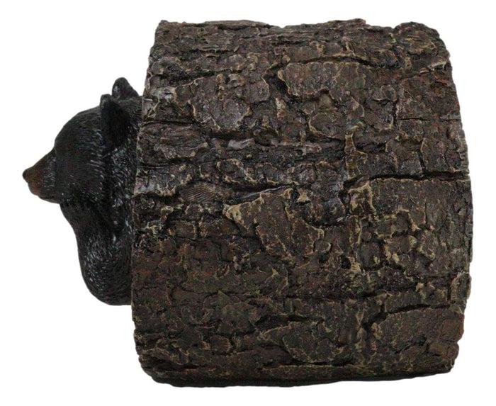 Ebros Gift Daydreaming Black Bear In Tree Log Home Decorative Jewelry Trinket Box Figurine