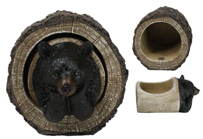 ebros gift Daydreaming Black Bear in Tree Log Home Decorative Jewelry Trinket Box Figurine