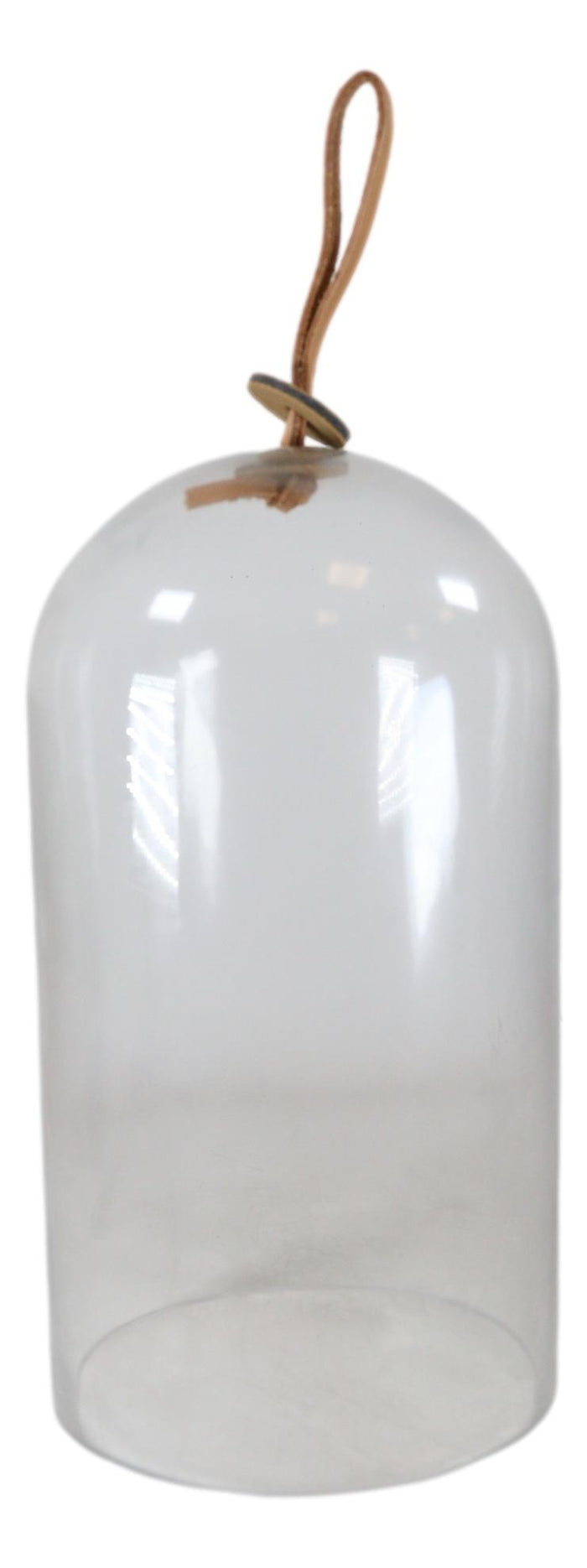 Ebros Gift Decorative Clear Glass Apothecary Cloche Bell Jar Centerpiece Dome With Handle