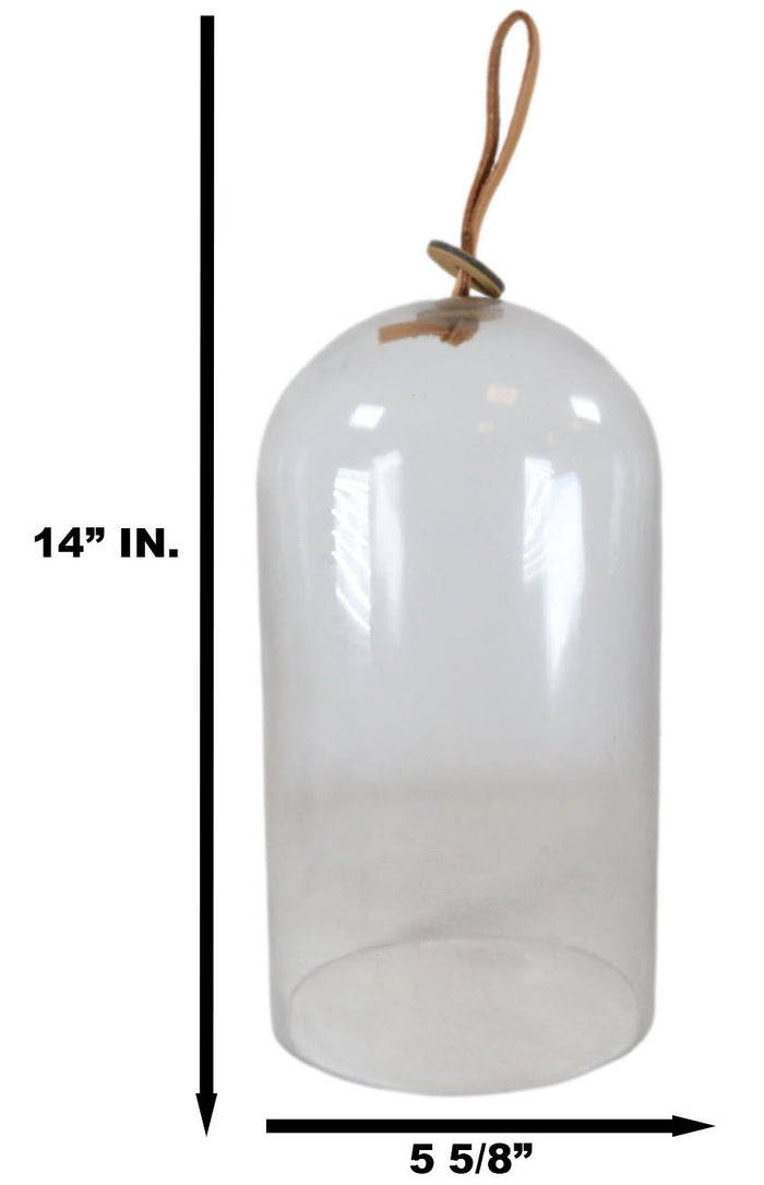 Ebros Gift Decorative Clear Glass Apothecary Cloche Bell Jar Centerpiece Dome With Handle