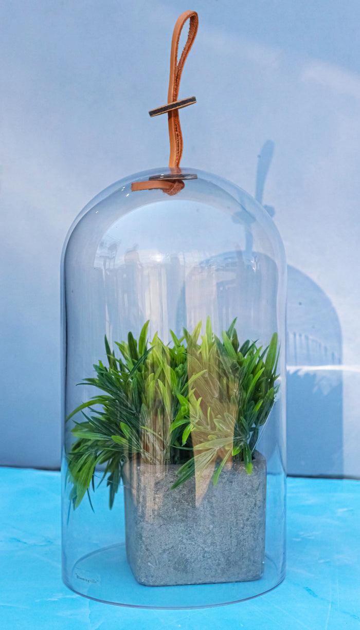 ebros gift Decorative Clear Glass Apothecary Cloche Bell Jar Centerpiece Dome With Handle