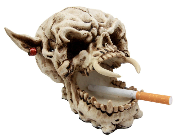 ebros gift Demon Pirate Skull Figurine 6.5"L Fanged Bone Vampire Marauder Skeleton Decor