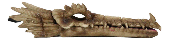 Ebros Gift Dragon Fossil Skull Skeleton Incense Burner Box With Purple Faux Crystal Geode