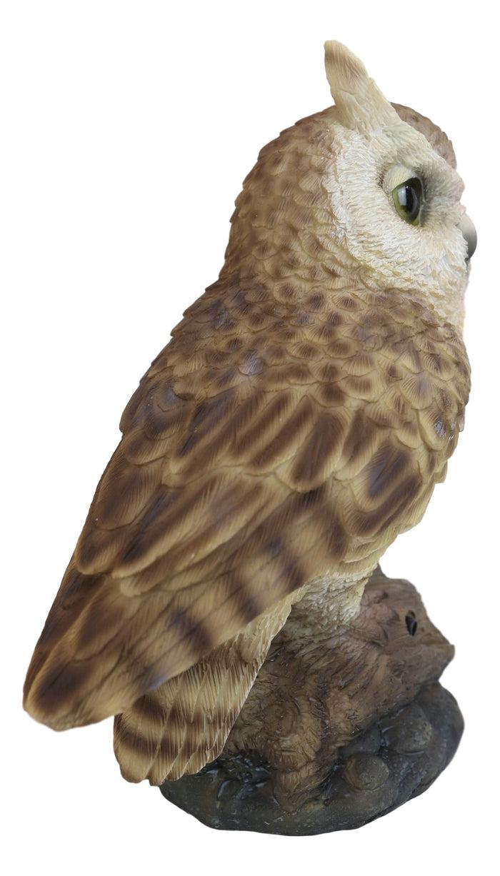 Ebros Gift Eagle Owl Owlet Baby On Tree Stump With Motion Sensor Live Hooting Sound Statue