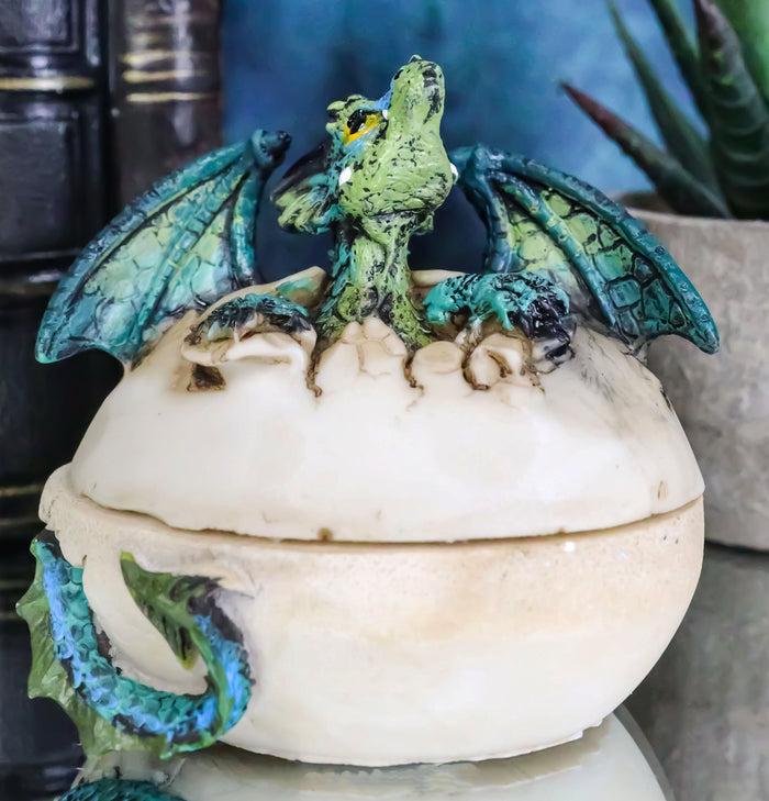 ebros gift Earth Gaia Dragon Hatchling Breaking Out Of Egg Shell Figurine Jewelry Box Decor