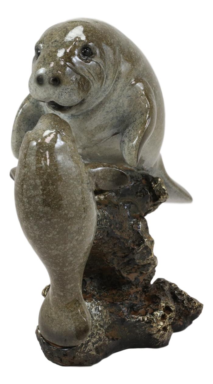 Ebros Gift Ebroos Nautical Coastal Antillean Manatee Sea Cow With Calf By Coral Rocks Decor