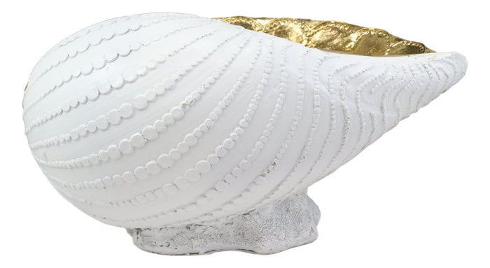 Ebros Gift Ebros 10" L Golden Nautilus Mollusc Sea Shell Jewelry Dish Bowl Decor Statue
