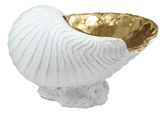 Ebros Gift Ebros 10" L Golden Nautilus Mollusc Sea Shell Jewelry Dish Bowl Decor Statue