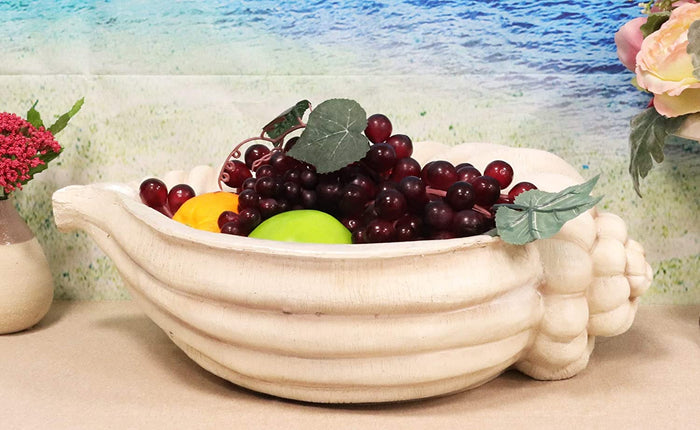 ebros gift Ebros 16" Long Nautical Ocean Giant Sea Tun Shell Display Container Dish Bowl
